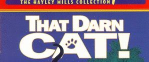 That Darn Cat! background