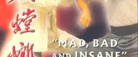 The Thundering Mantis background