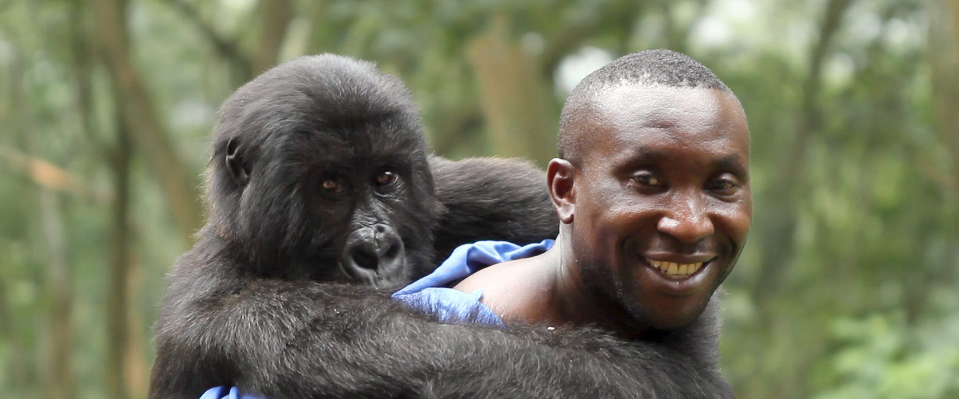 Virunga background
