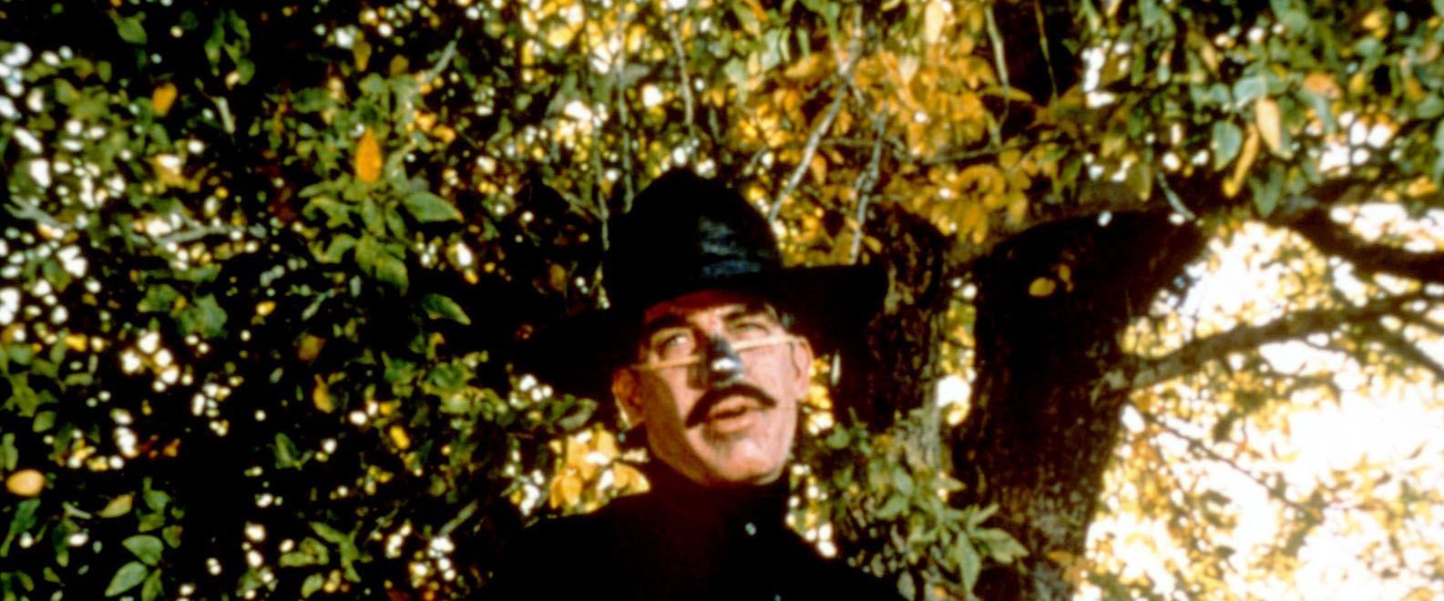 Cat Ballou background