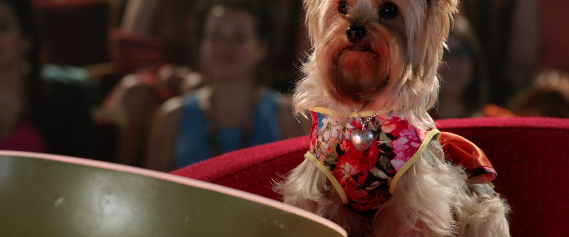 Pup Star: World Tour background