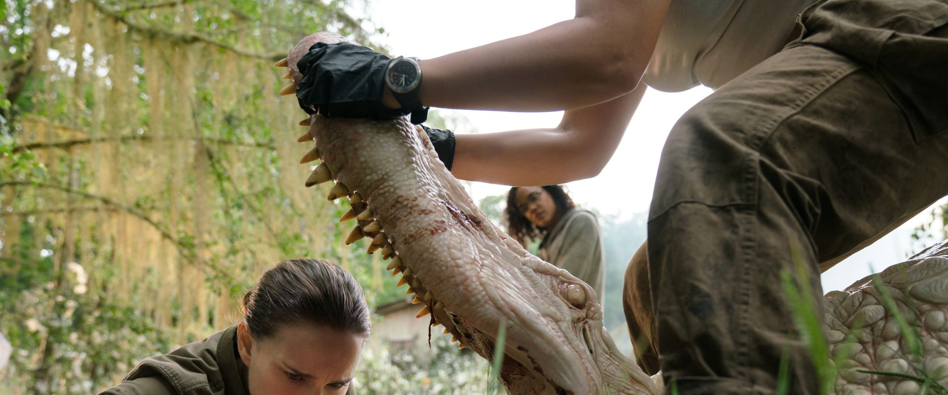 Annihilation background