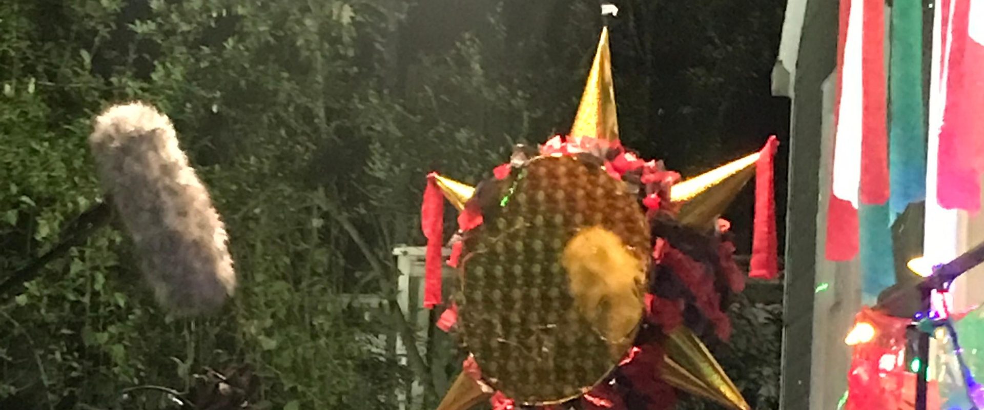 How the Gringo Stole Christmas background