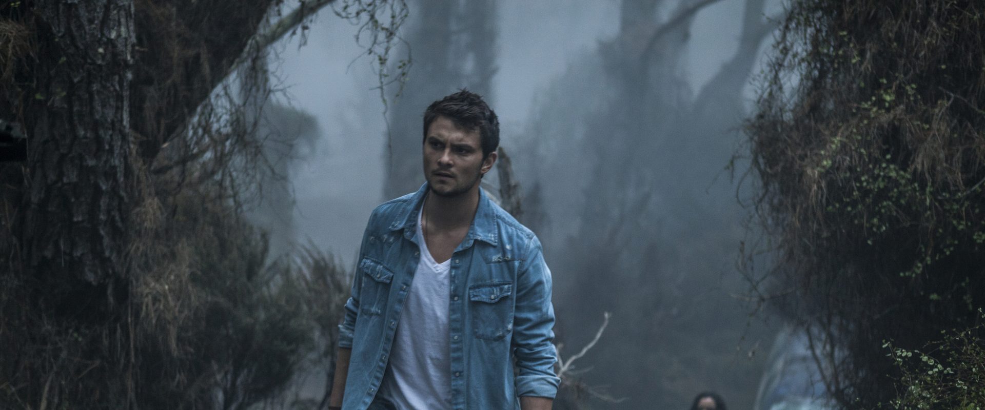 Evil Dead background