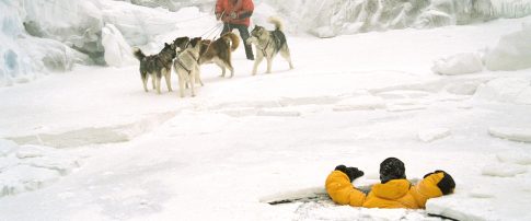 Eight Below background