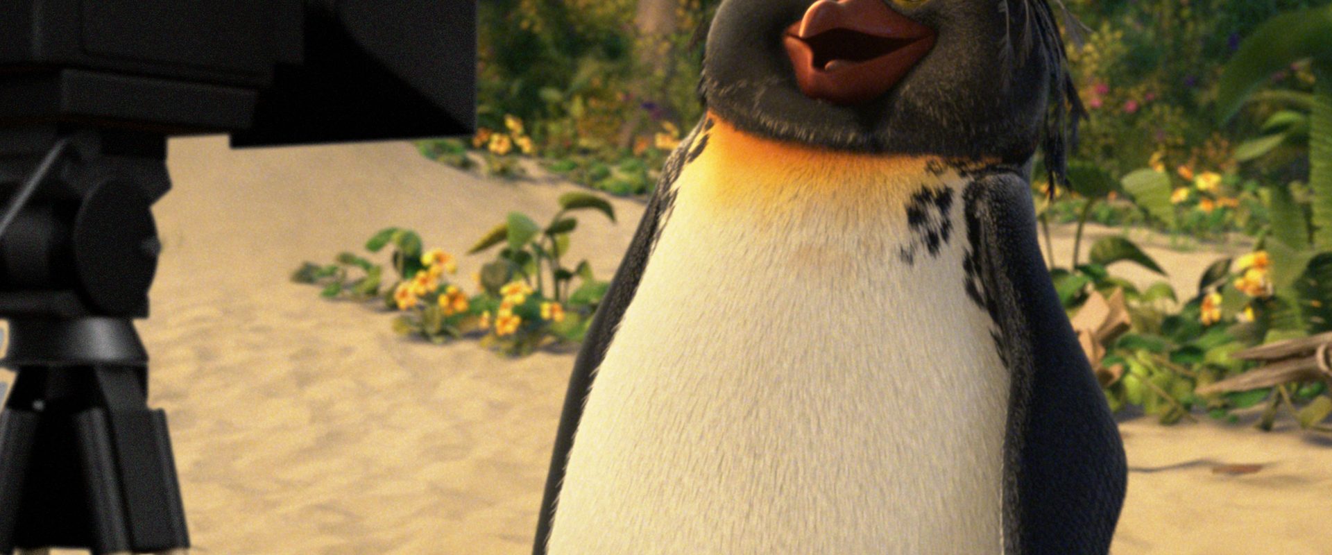 Surf's Up background
