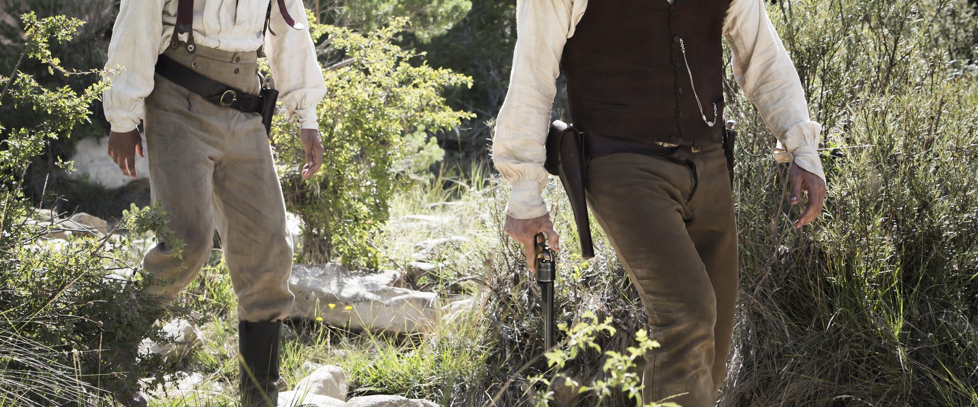 The Sisters Brothers background