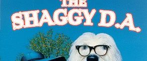 The Shaggy D.A. background