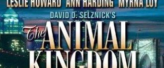 The Animal Kingdom background