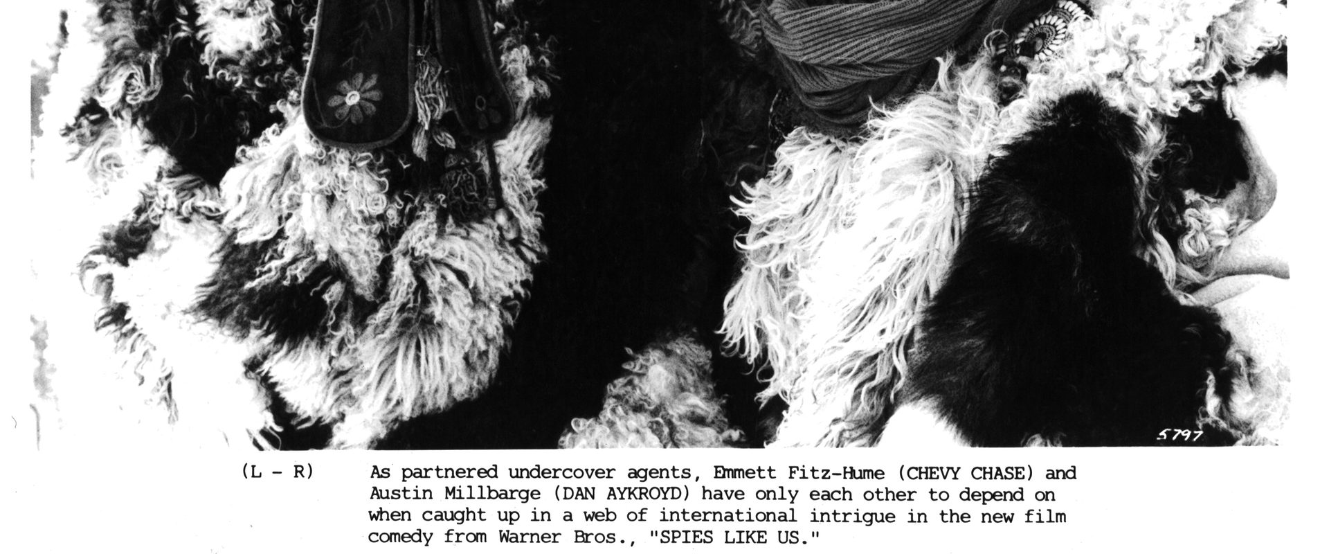 Spies Like Us background