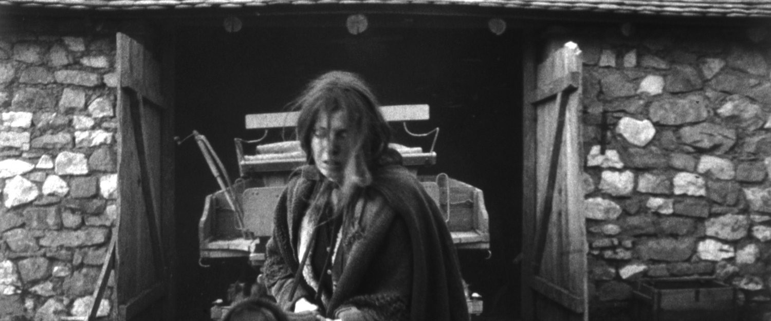 The Turin Horse background