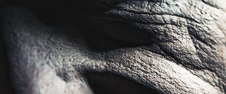 Old People background