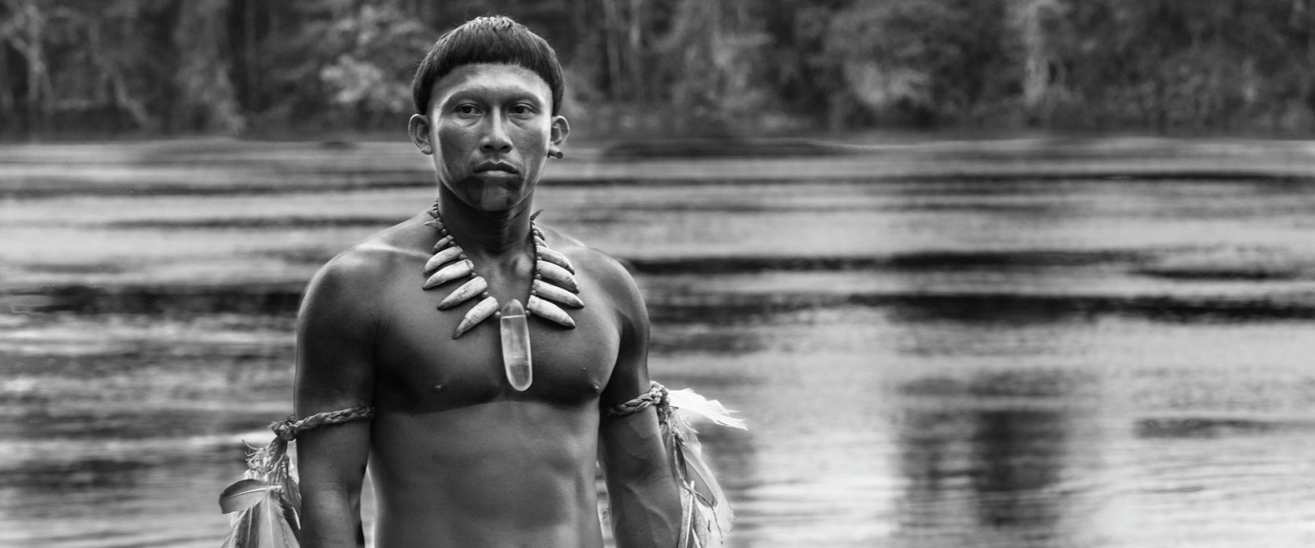 Embrace of the Serpent background