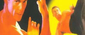 Bloodsport III background