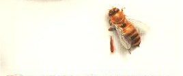 Deadly Invasion: The Killer Bee Nightmare background