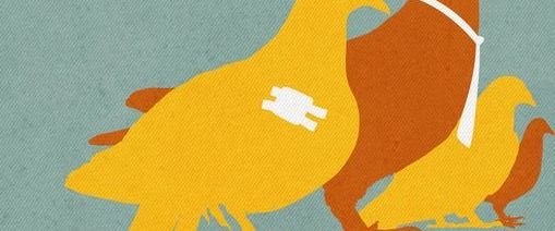 Birds of America background