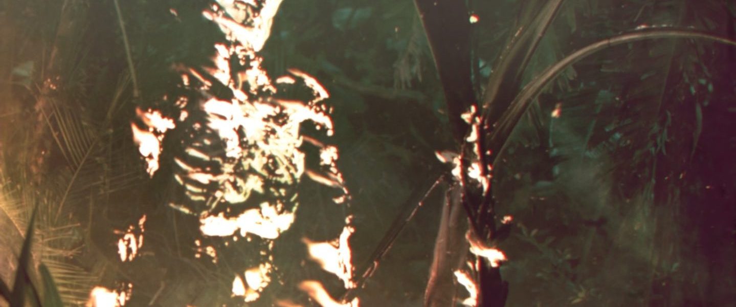 Firebase background