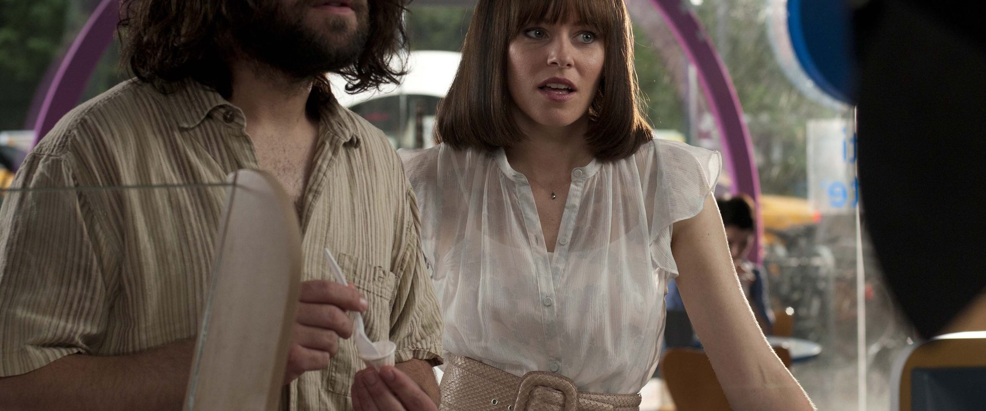 Our Idiot Brother background