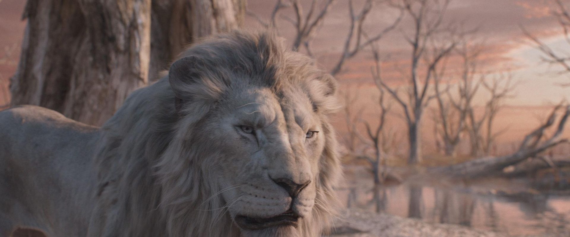 Mufasa: The Lion King background