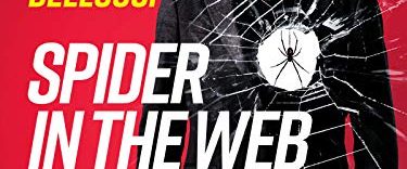 Spider in the Web background