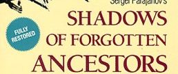 Shadows of Forgotten Ancestors background