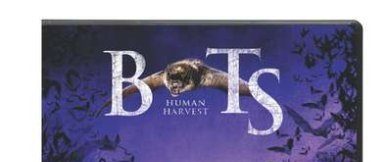 Bats: Human Harvest background