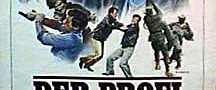 The Professional background