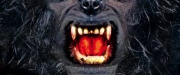 The Werewolf of Washington background