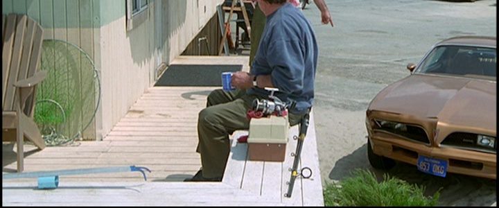 The Rockford Files: Punishment and Crime background