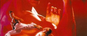 Bloodsport 2 background