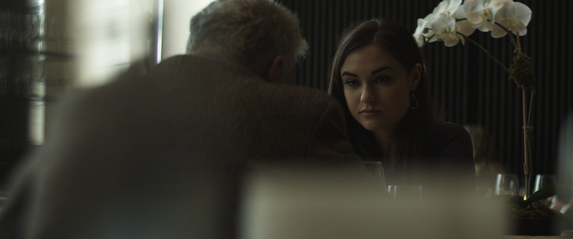 The Girlfriend Experience background
