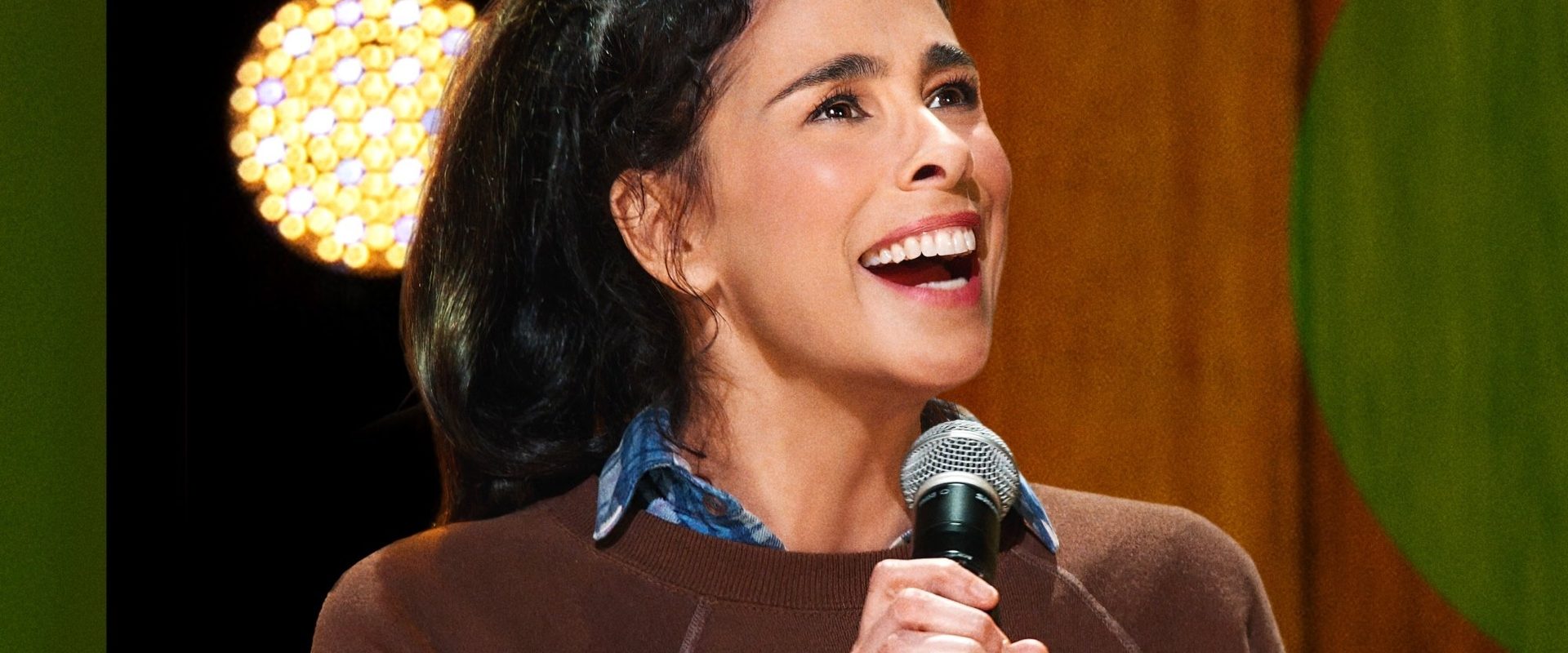 Sarah Silverman: PostMortem background