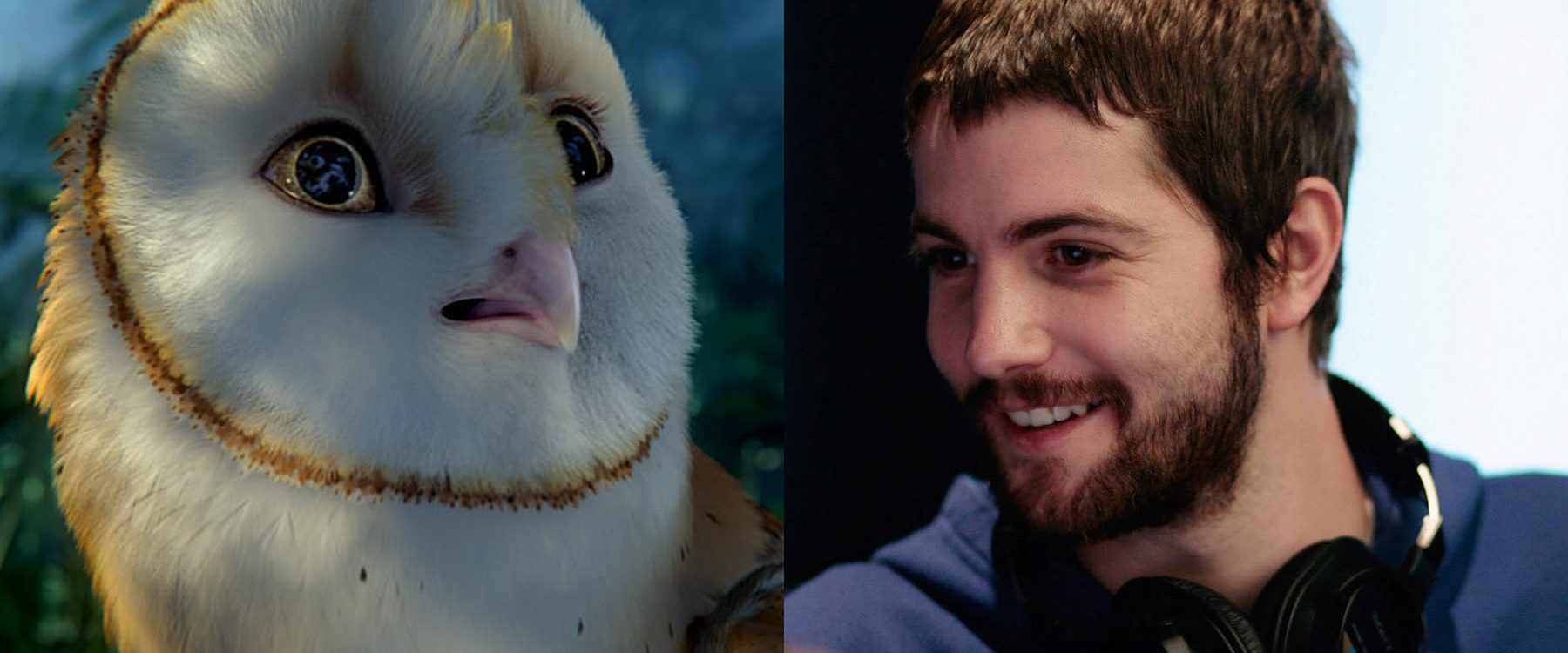 Legend of the Guardians: The Owls of Ga'Hoole background