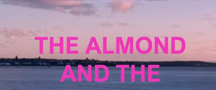 The Almond and the Seahorse background