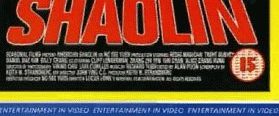 American Shaolin background