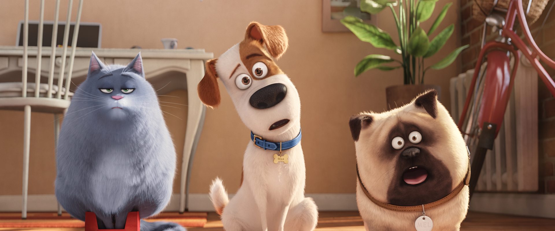 The Secret Life of Pets background