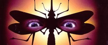 Mosquito background