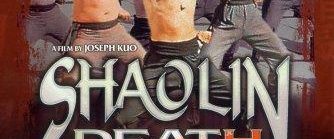 The Shaolin Kids background