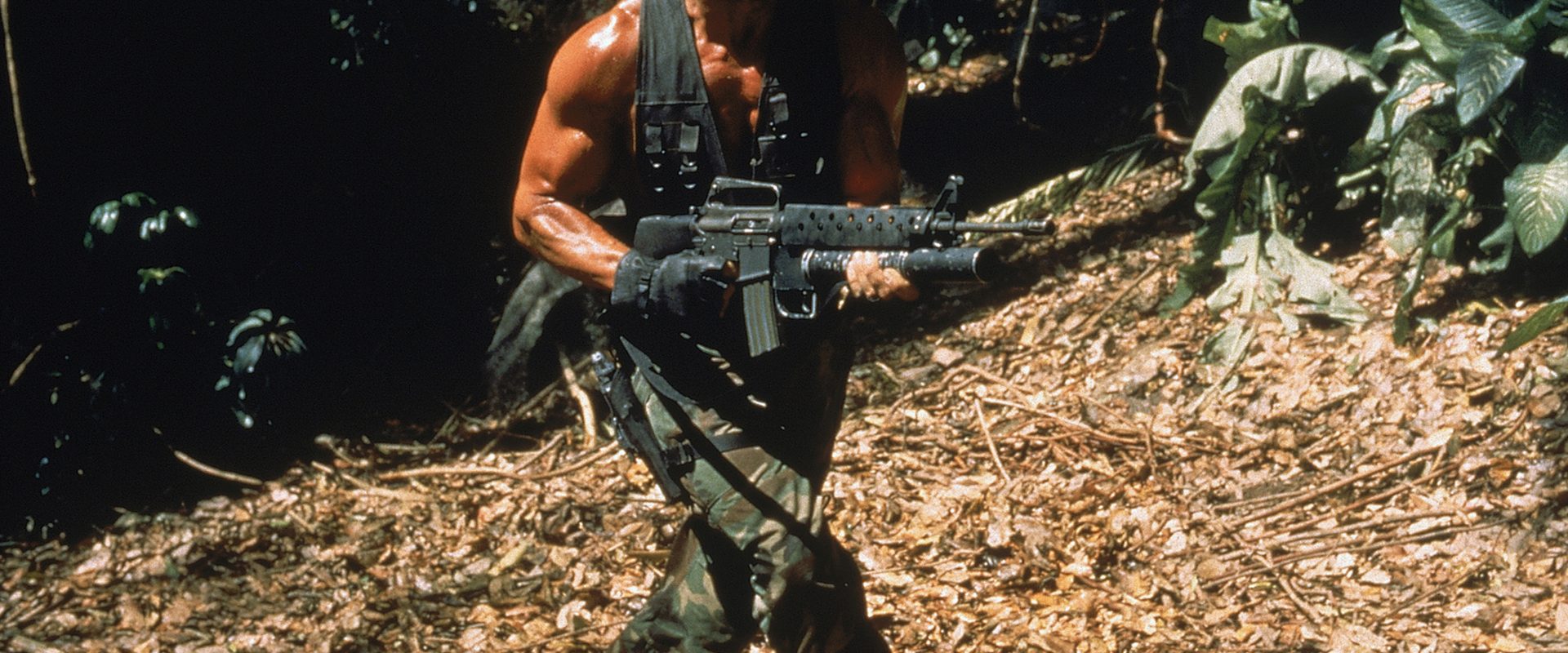 Predator background