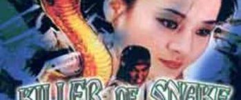 Killer of Snake, Fox of Shaolin background