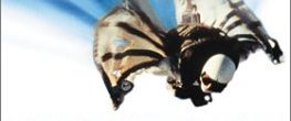 The Gypsy Moths background