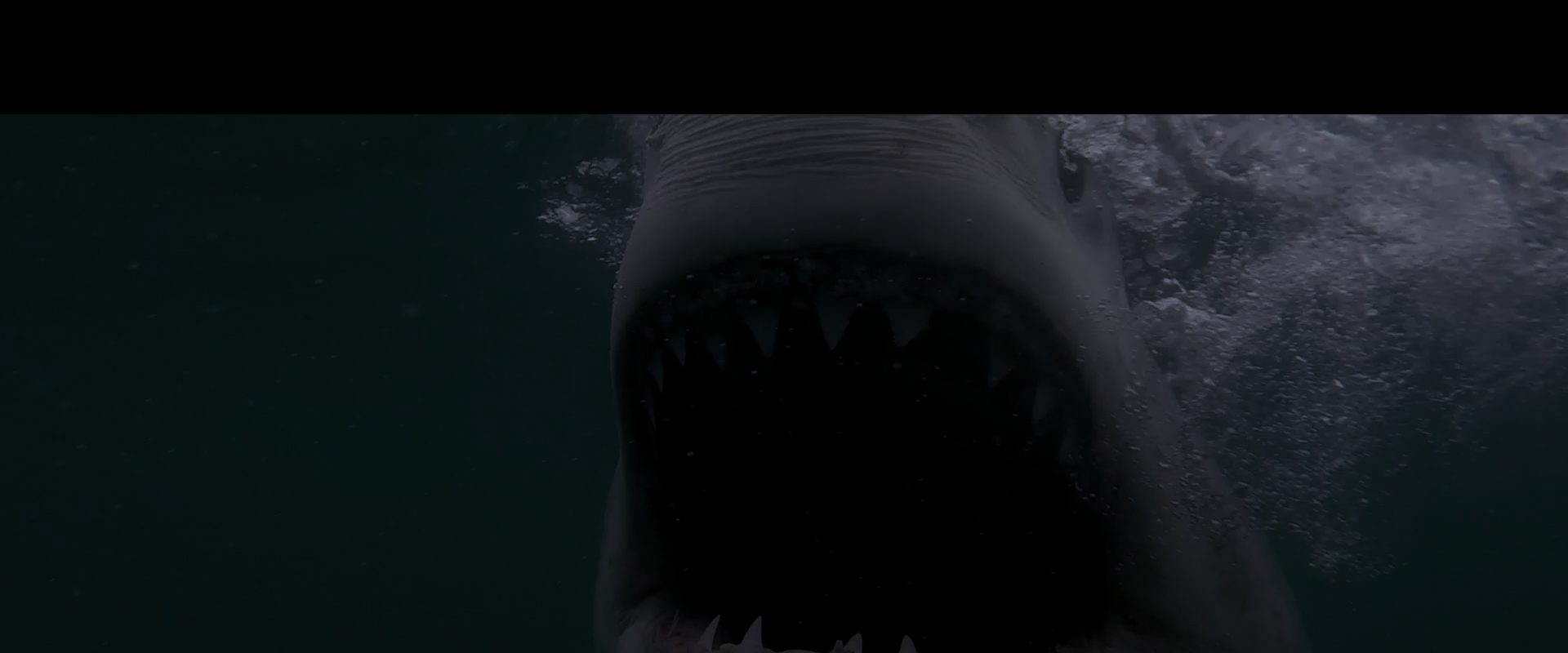 Beneath the Surface background