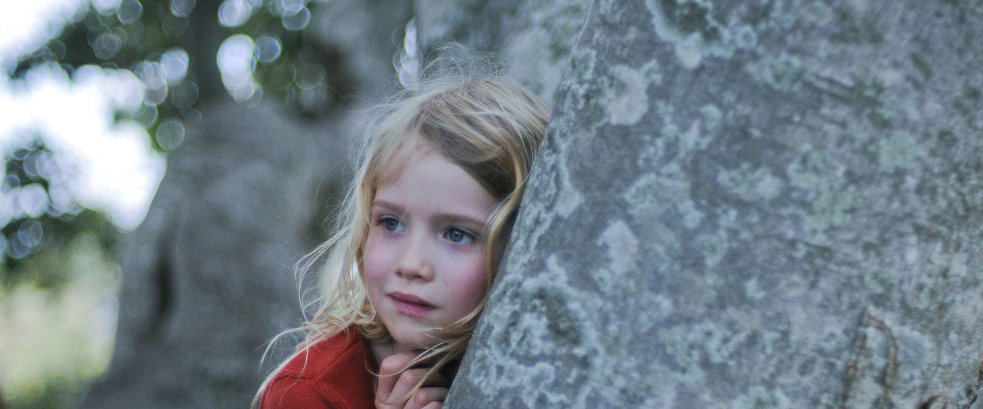 The Tree background