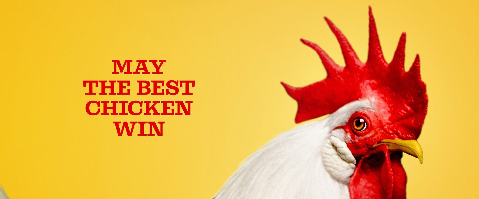 Chicken People background