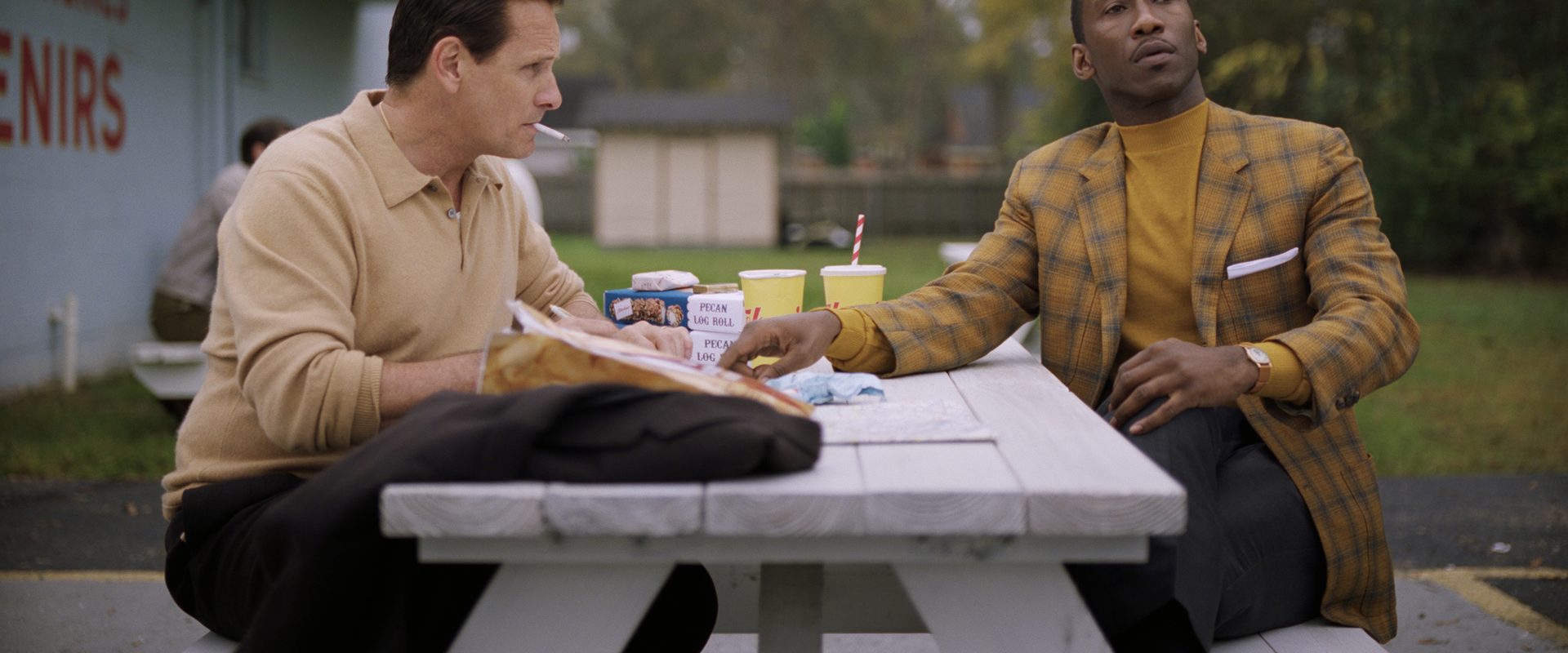 Green Book background