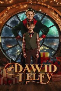 David and the Elves poster
