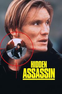 Hidden Assassin poster