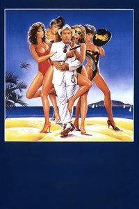 Il commissario Lo Gatto poster