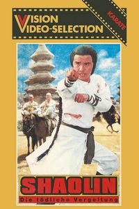 The Iron Monkey poster