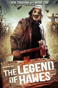 The Legend Of Hawes poster